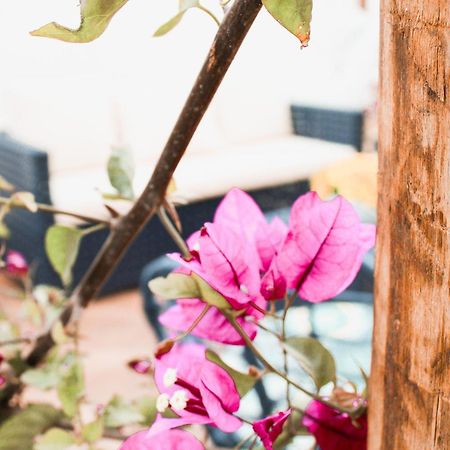 Pousada Serra Bella Tianguá المظهر الخارجي الصورة